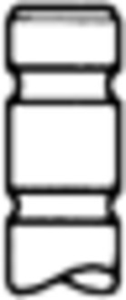 Inlaatklep TRW Engine Component 48319