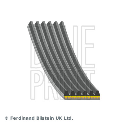 Poly V-riem Blue Print AD06A987