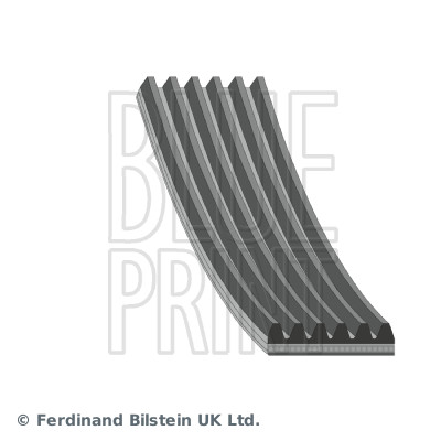 Poly V-riem Blue Print AD06R1212