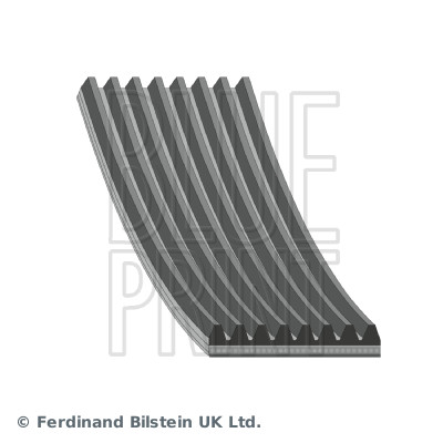 Poly V-riem Blue Print AD08R2512