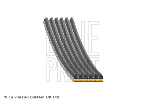 Poly V-riem Blue Print AD6A994