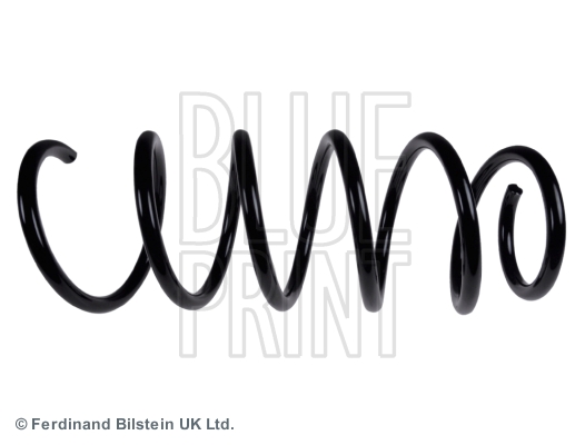 Veer Blue Print ADC488337