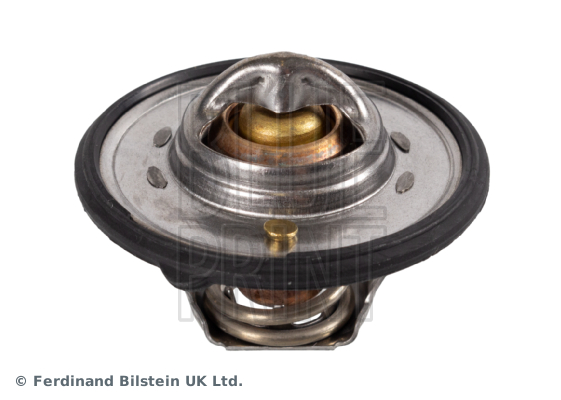 Thermostaat Blue Print ADG09245