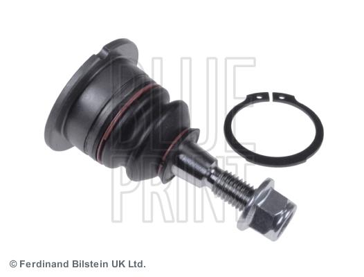 Fuseekogel Blue Print ADJ138601