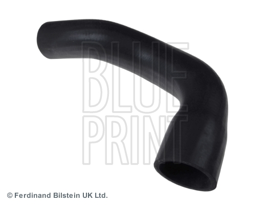 Radiateurslang Blue Print ADJ139301