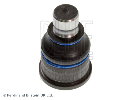 Fuseekogel Blue Print ADN18689