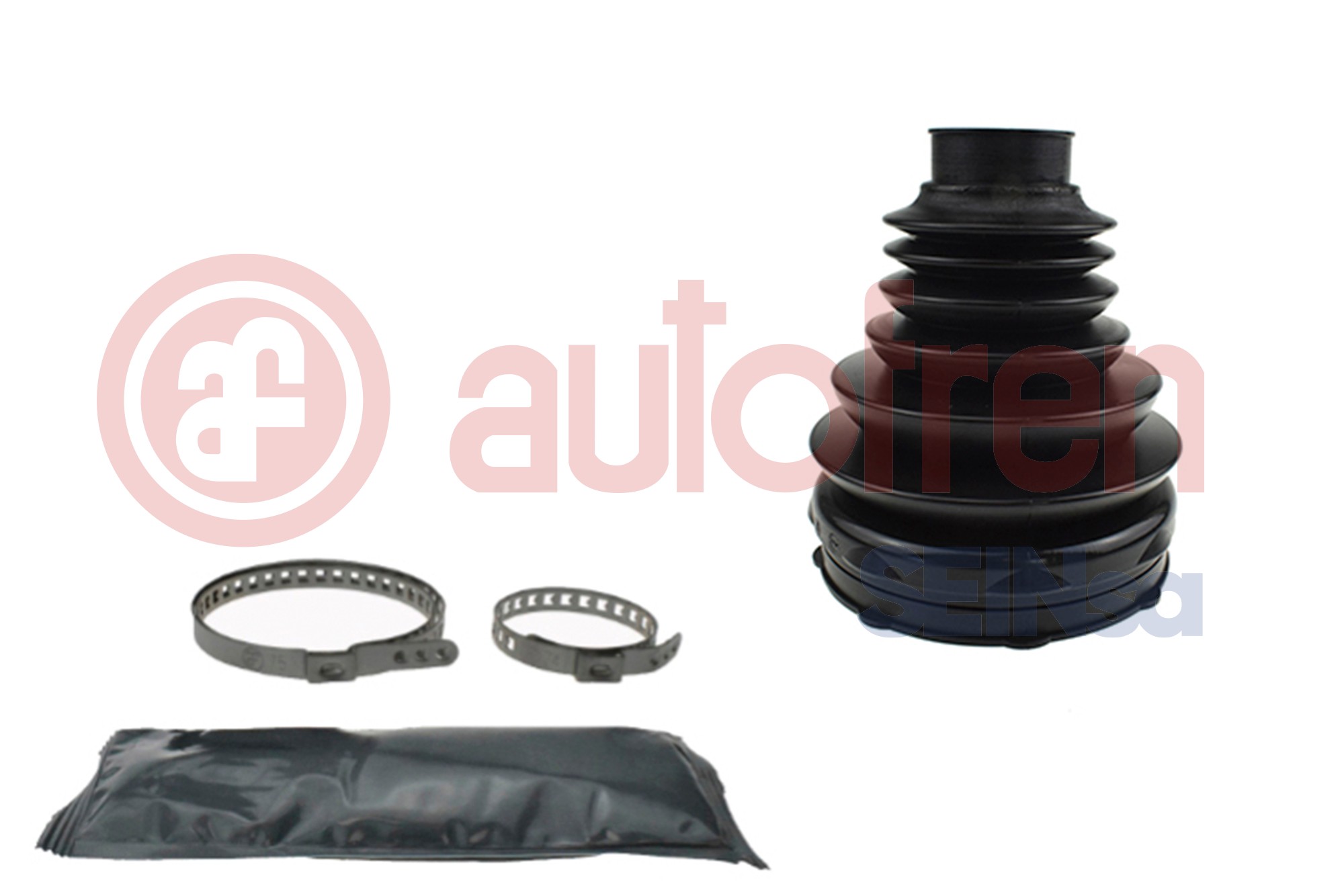 Asmanchetten set Autofren Seinsa D8731T