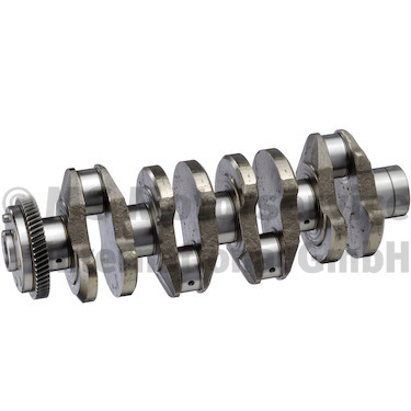 Krukas BF 20050365102