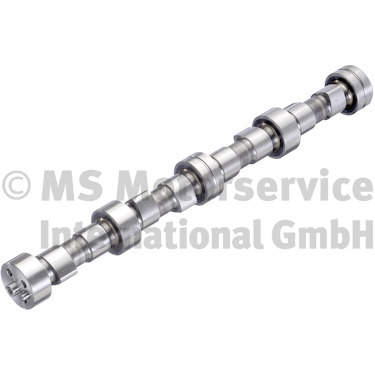 Nokkenas BF 20100208341