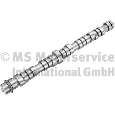 Nokkenas BF 20100411004