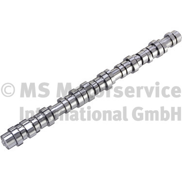 Nokkenas BF 20100413013