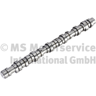 Nokkenas BF 20100413015