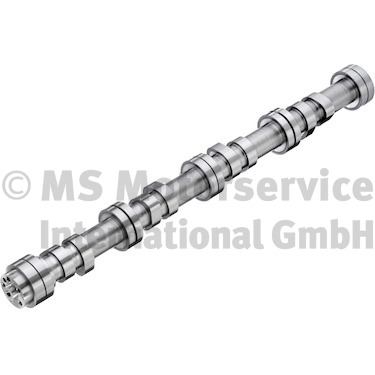 Nokkenas BF 20100716002