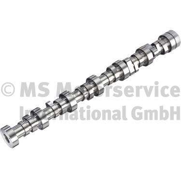 Nokkenas BF 20100913006