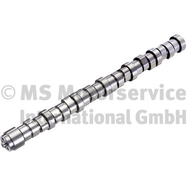 Nokkenas BF 20101410001