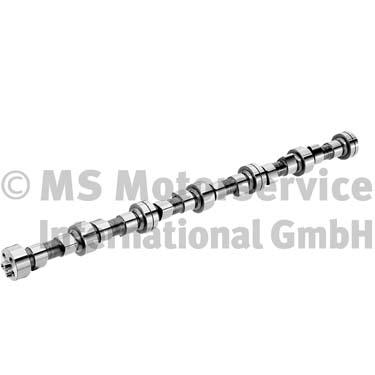 Nokkenas BF 20100208361