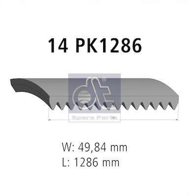 Poly V-riem Dt Spare Parts 3.34336