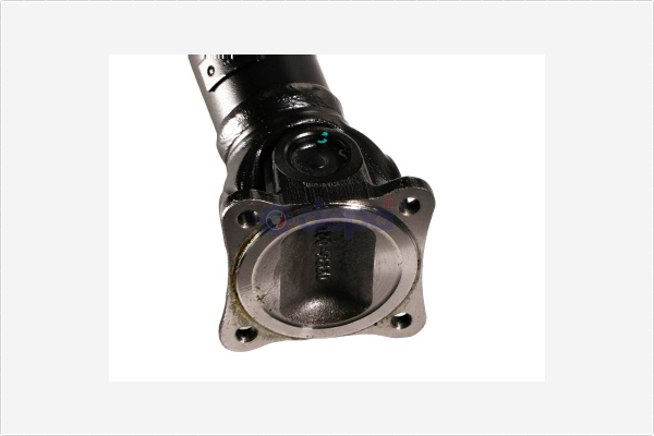 Aandrijfas Depa 4200894