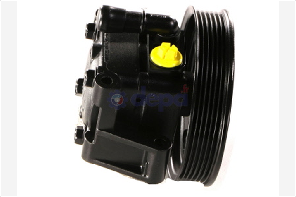 Servopomp Depa PA013