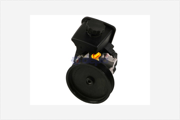 Servopomp Depa PA2456