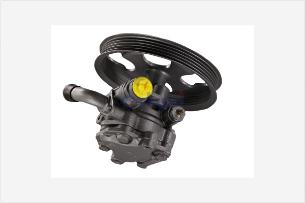 Servopomp Depa PA2524