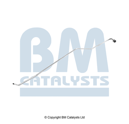 Drukleiding, druksensor (roetfilter) Bm Catalysts PP11191B