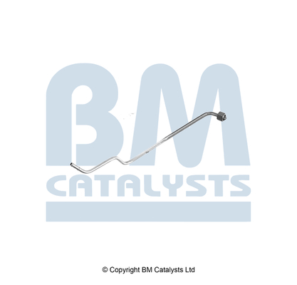Drukleiding, druksensor (roetfilter) Bm Catalysts PP11256B