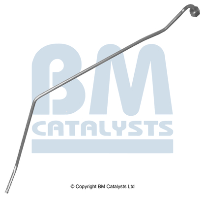 Drukleiding, druksensor (roetfilter) Bm Catalysts PP11567B
