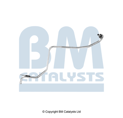Drukleiding, druksensor (roetfilter) Bm Catalysts PP31200B