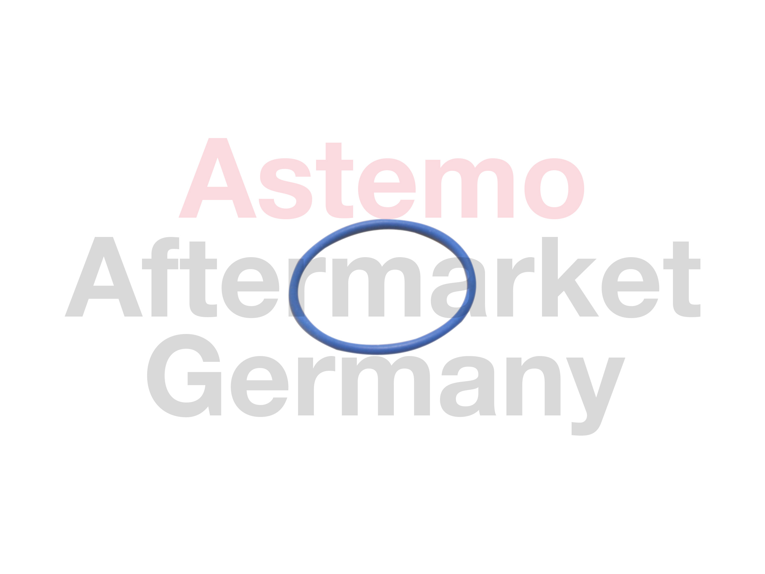 Brandstofpomp pakking Hitachi 2503056