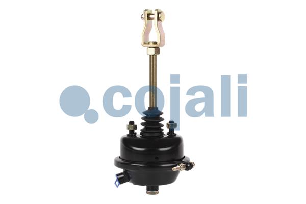 Remcilindermembraan Cojali 2251101