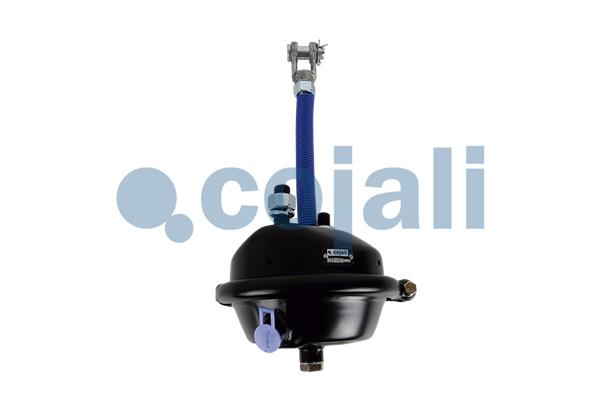 Remcilindermembraan Cojali 2251117