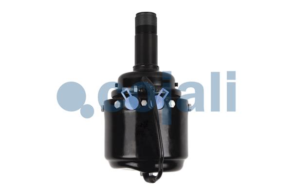 Veeraccumulator remcilinder Cojali 2251301