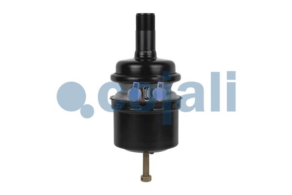 Veeraccumulator remcilinder Cojali 2251312