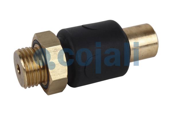 Multicircuit beschermingsklep Cojali 2280108