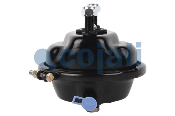 Remcilindermembraan Cojali 2351302