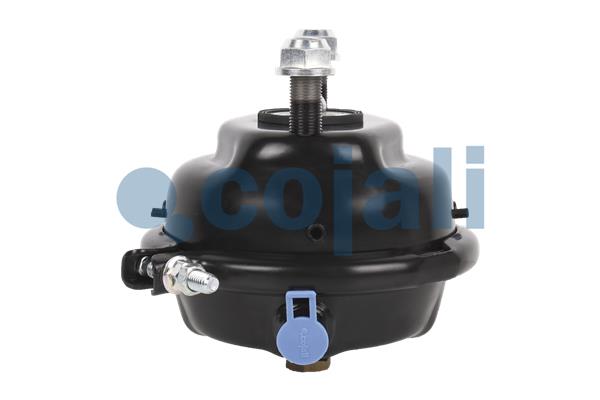 Remcilindermembraan Cojali 2351325