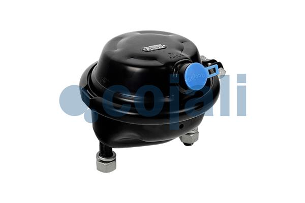 Remcilindermembraan Cojali 2351332