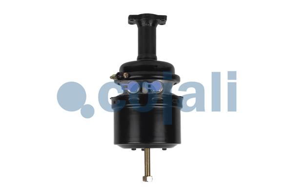 Veeraccumulator remcilinder Cojali 2351422