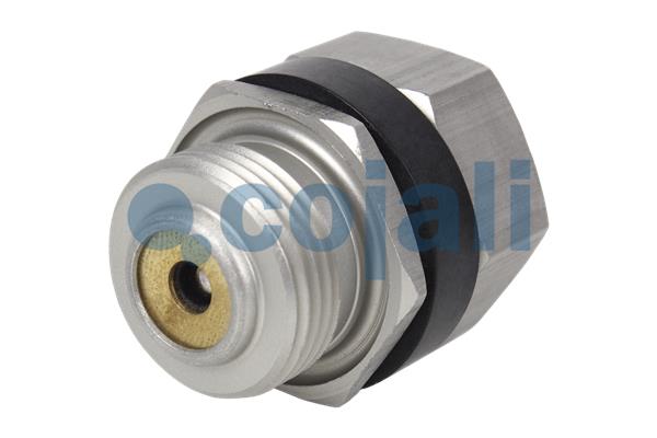 Multicircuit beschermingsklep Cojali 2380161