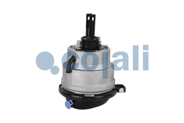 Remcilindermembraan Cojali 2851400