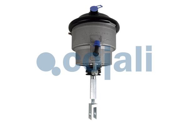 Remcilindermembraan Cojali 2851410