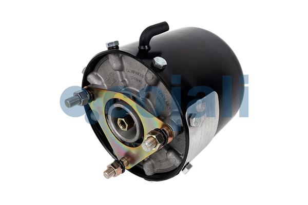 Remcilindermembraan Cojali 2851411