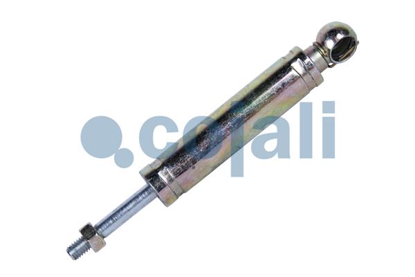 Hoofdkoppelingscilinder Cojali 2880116