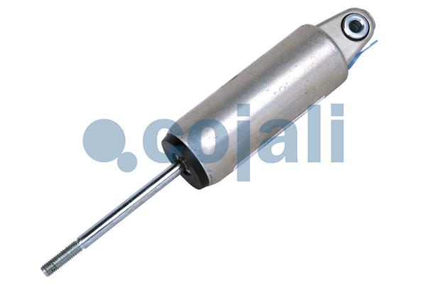 Hoofdkoppelingscilinder Cojali 2880119