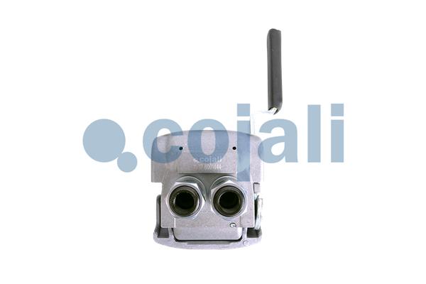 Koppelkop Cojali 6001444