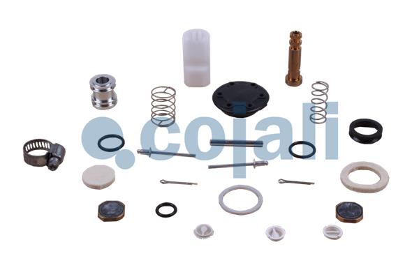 Koppelingsbekrachtiger reparatieset Cojali 6012233