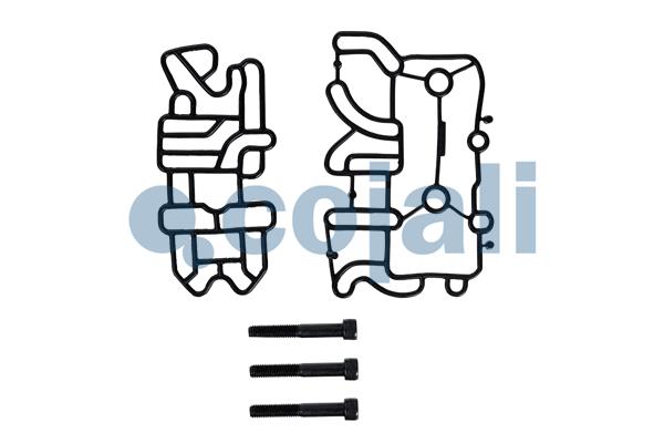 Pakkingset Cojali 6012395