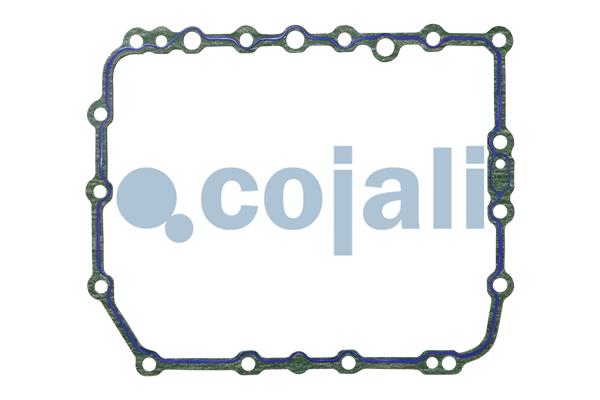 Pakkingset Cojali 6012399