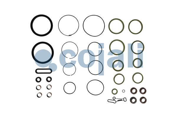 Pakkingset Cojali 6012400